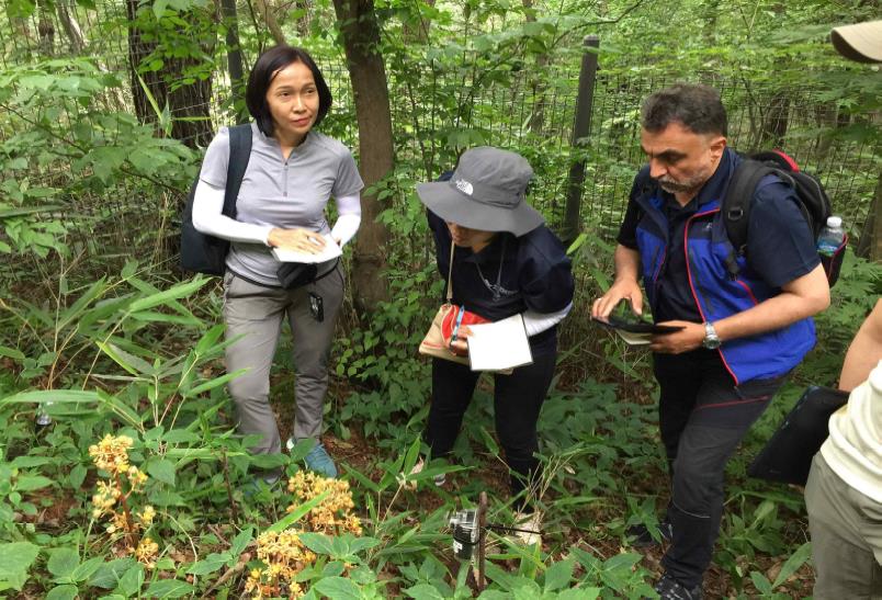 Wildlife monitoring in Muduengsan National Park © KNPS