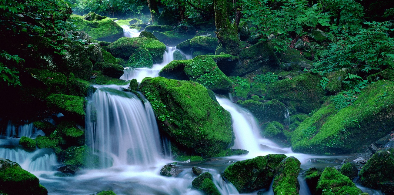 Seoraksan National Park, Republic of Korea © KNPS