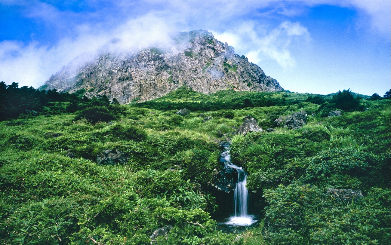 Hallasan National Park, Republic of Korea © KNPS